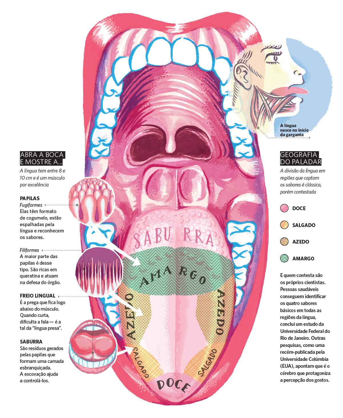 Professor José Costa 37 anos dedicados
