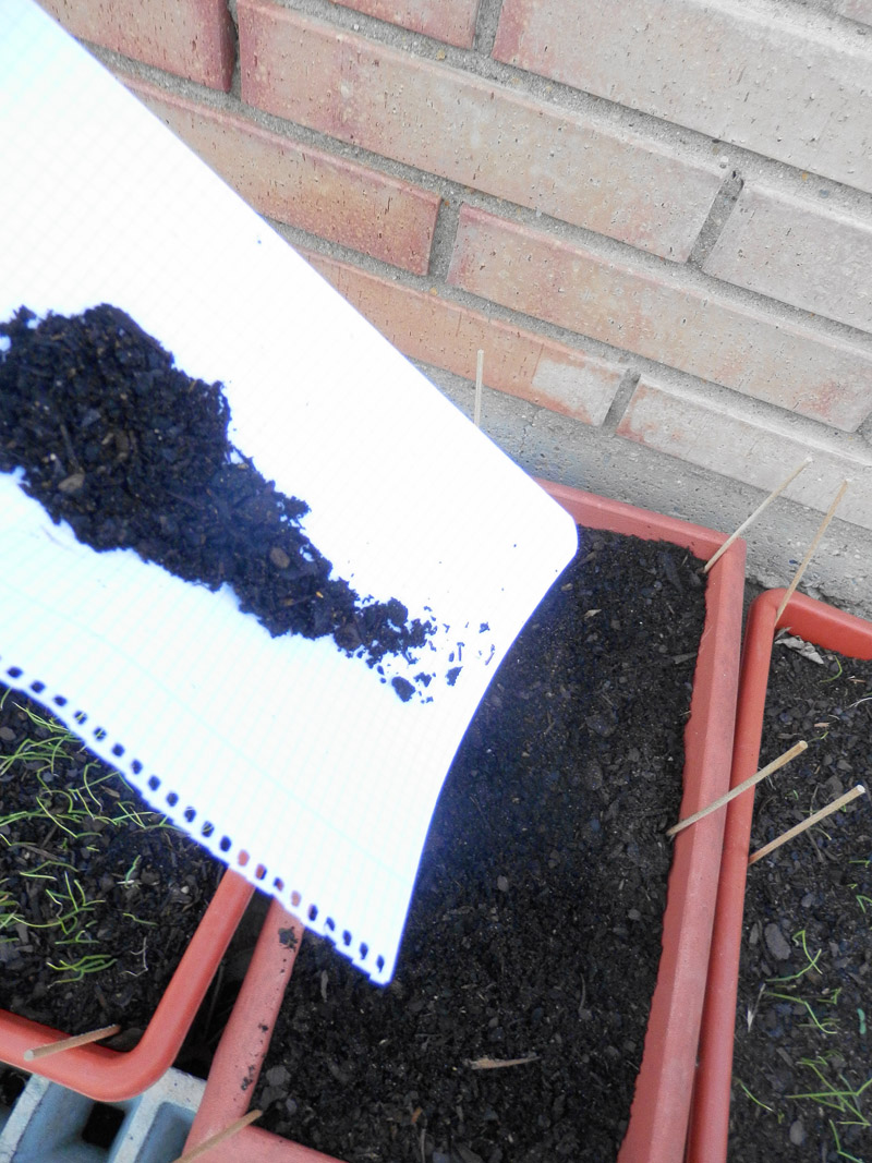 valdelubiel.com ecovaldelubiel.con: SIEMBRA DE VIOLETAS