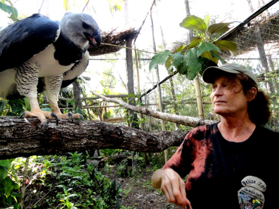 Sharon Matola – Belize39s Premier Wildlife Conservationist  Ka39ana