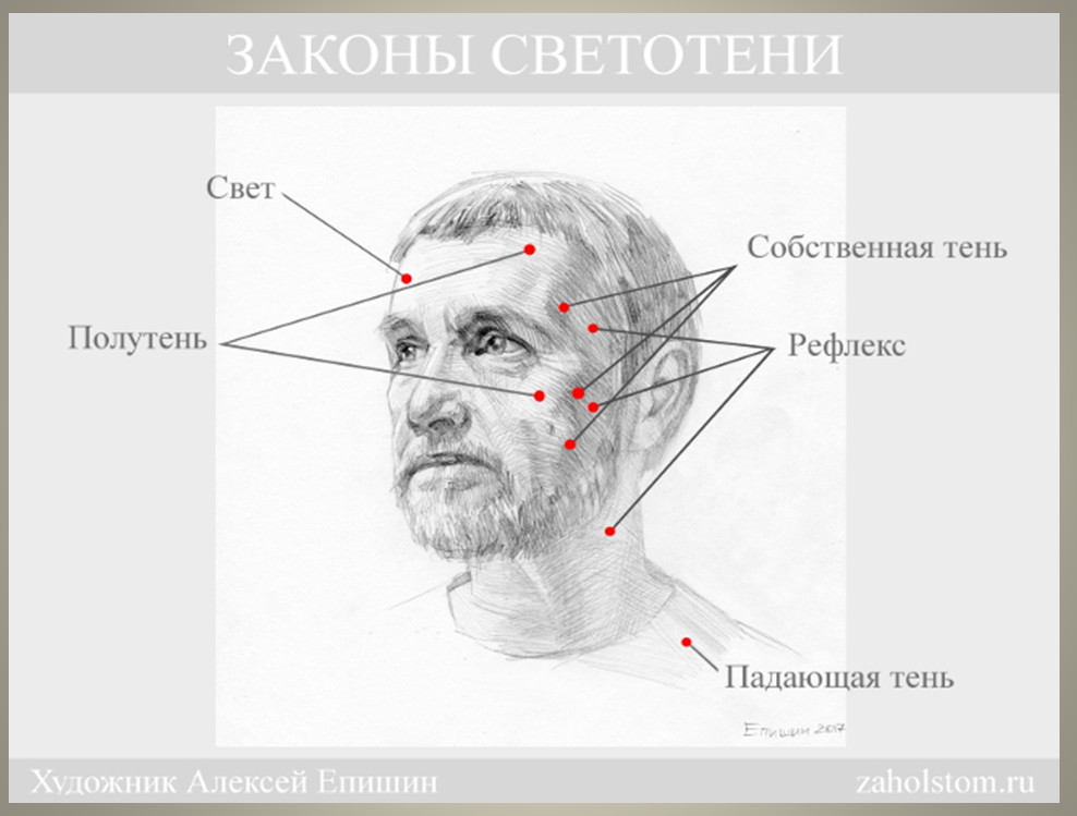 Законы светотени в рисунке. Законы светотени в рисунке. Светотеневой рисунок лица. Законы света и тени. Светотень в рисунке в зависимости от освещения.