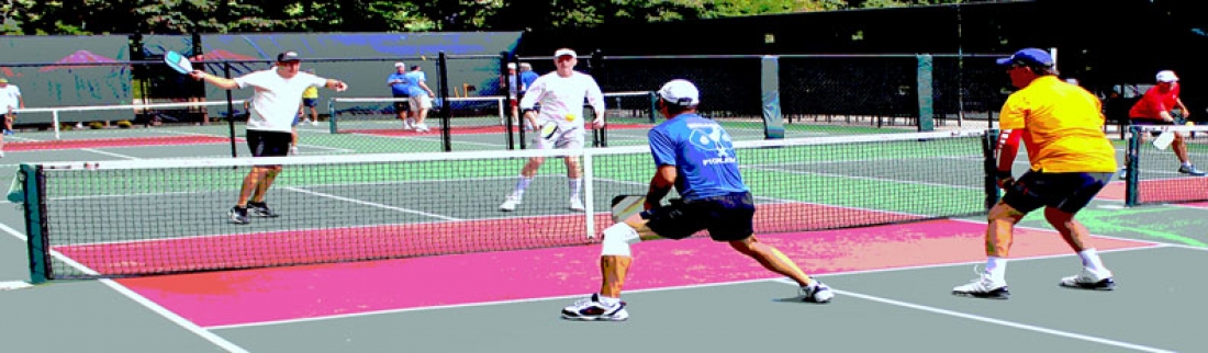 a pickleball life 2017 connestee falls scholarship pickleball connestee falls friday flyer