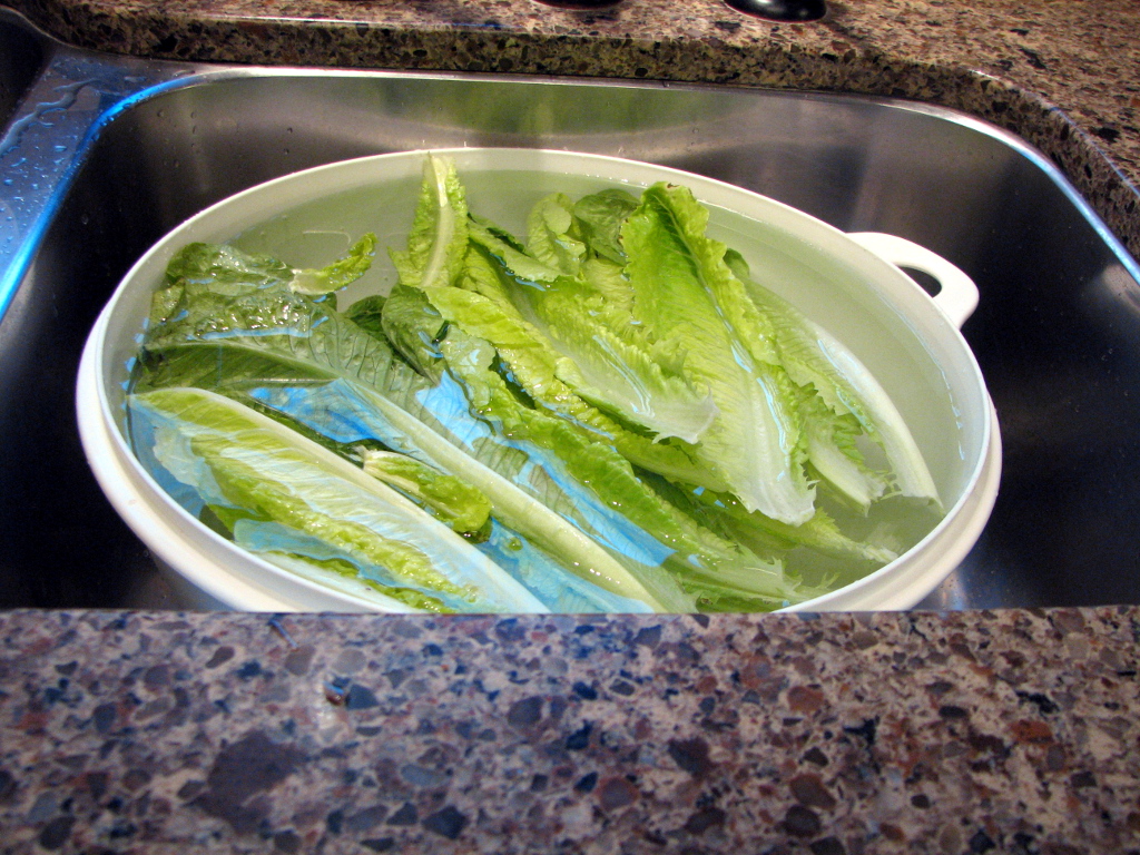 Mary Ann's House How To Wash Lettuce