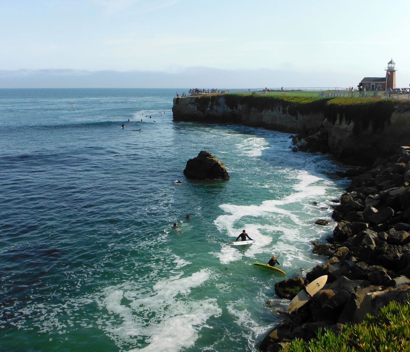 Forestdweller Steamer Lane