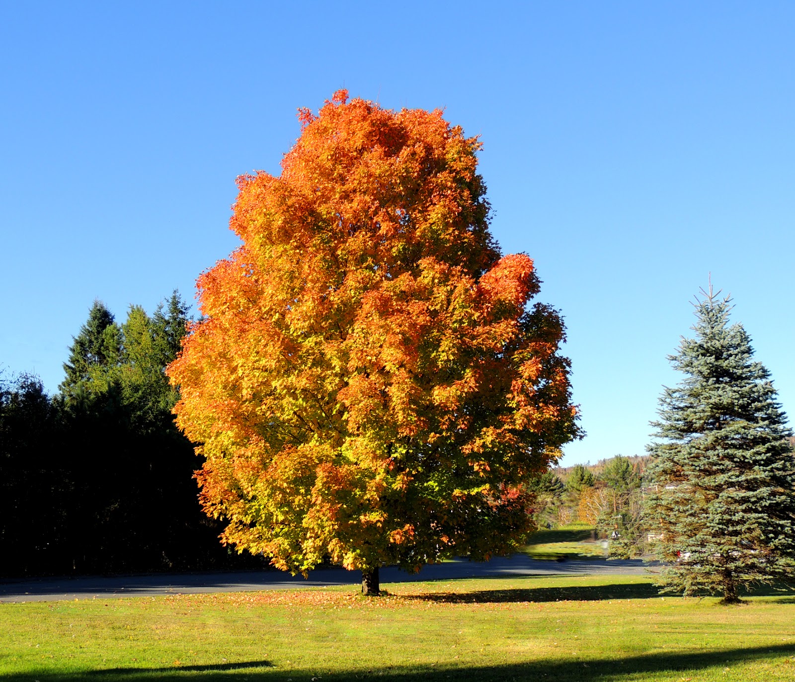 Travel with the Locals Maine Fall Color 3 Fort Kent Aroostook War