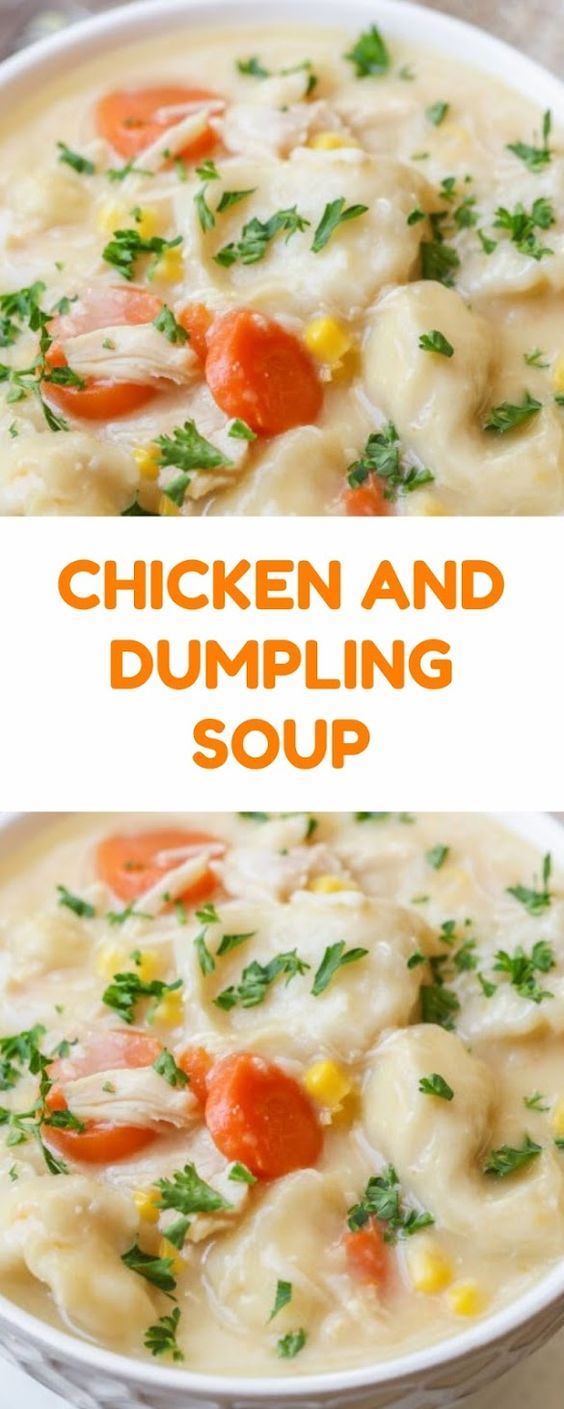 CHICKEN AND DUMPLING SOUP Recipe