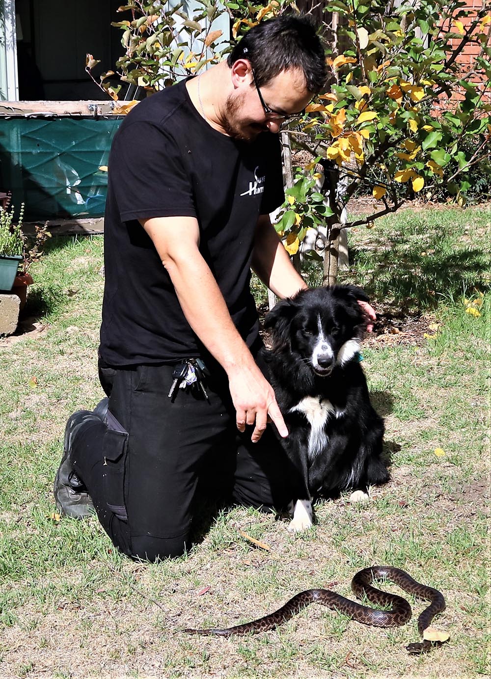 Can You Train Your Dog To Avoid Snakes