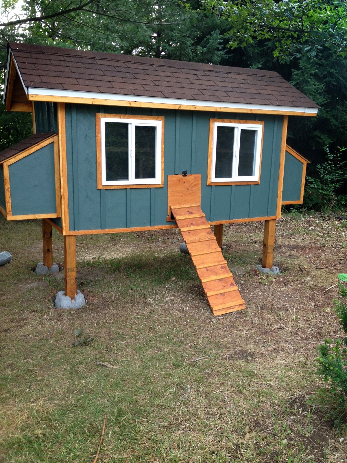 Flutterbee Farm The Chicken Coop the Grand Finale