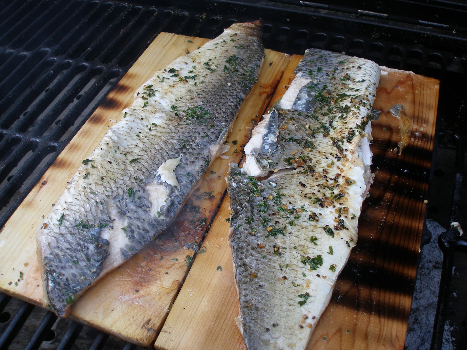 grilled planked whitefish