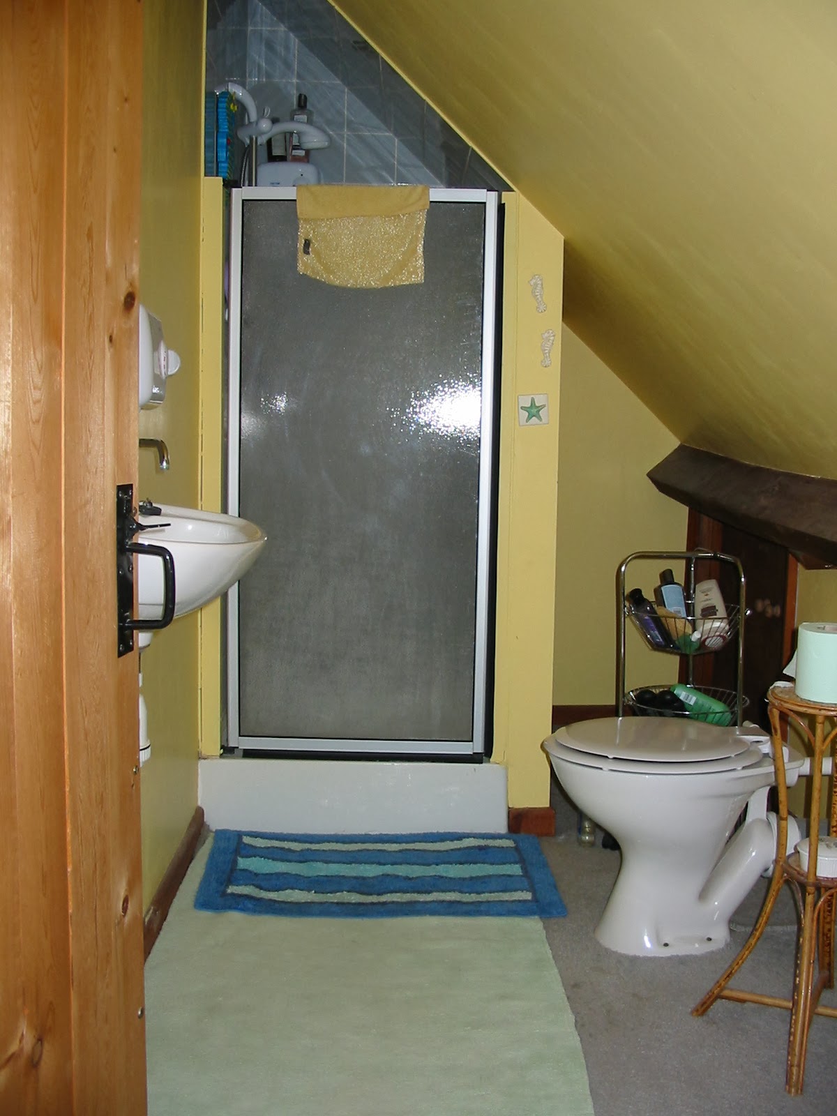 Modern Country Style The Best Shower In The World?