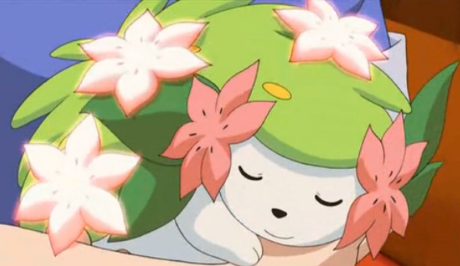 Garanta já o seu Shaymin