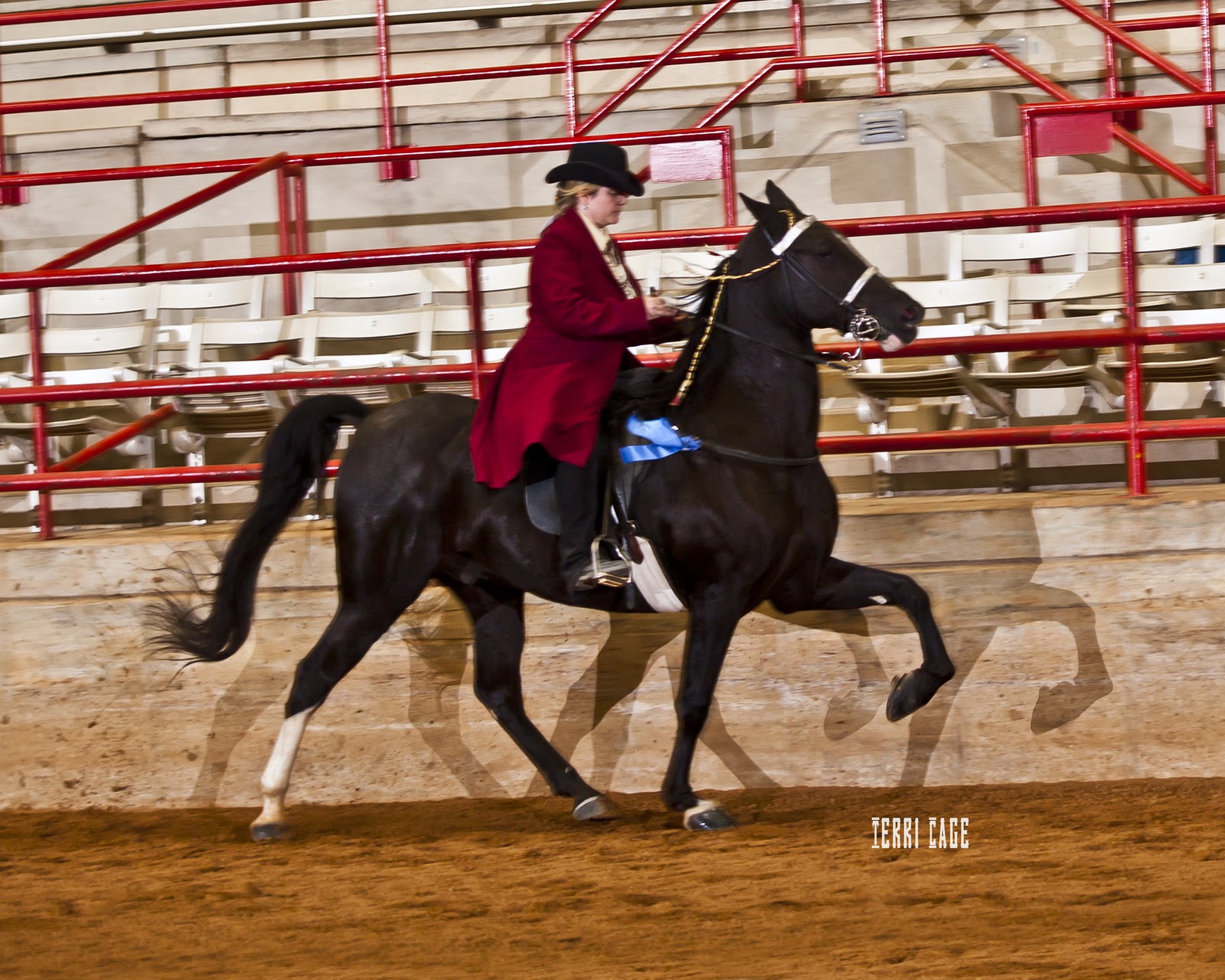 Terri Cage Photography How to Help your Horse Show Photographer