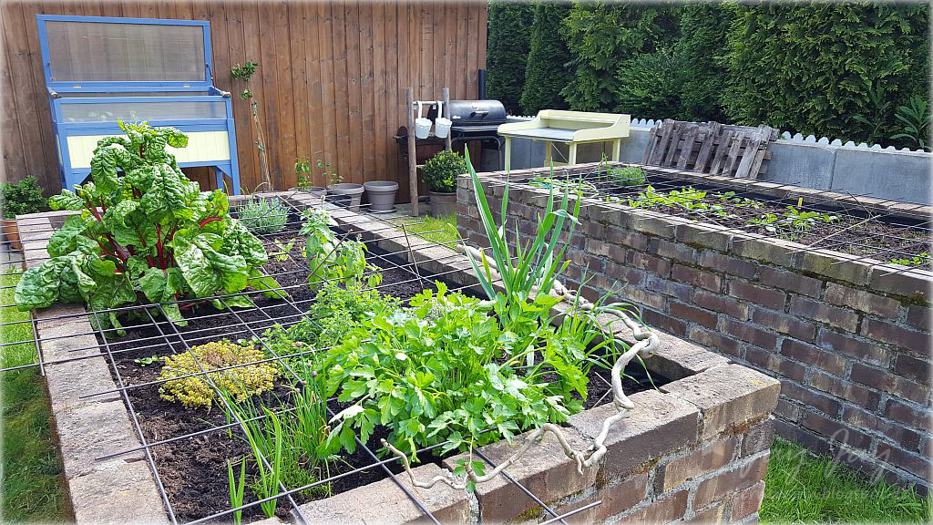 Sternensinn Garten Und Mehr Mai 2019