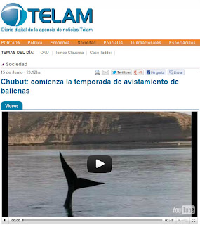  Avistajes de ballena Puerto Madryn y Puerto Pirámides