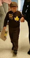 UPS delivery man costume
