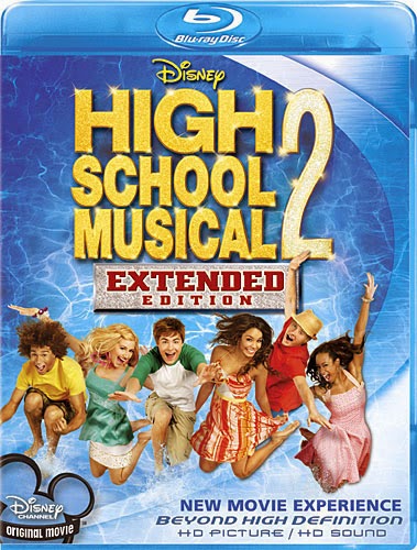 High School Musical 2 2007 Dual Audio Hindi English 300mb BRRip 480p
