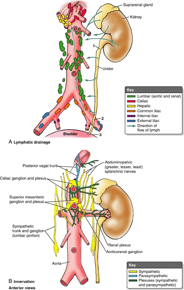 science for life: Adrenal Glands, Pancreas and Local Hormones.