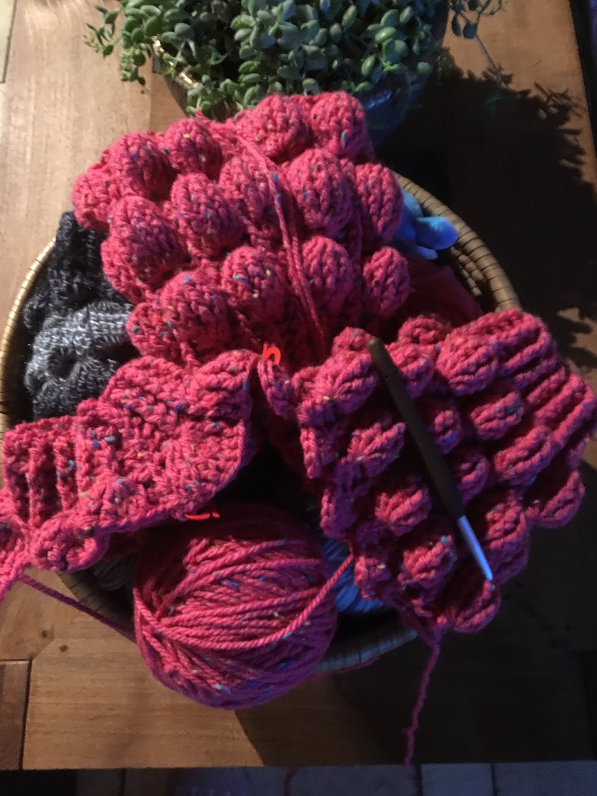 Tinne S Hobby World Ahududu Of Frambozenvest