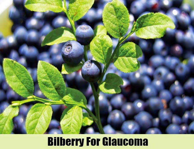 5 USEFUL HERBAL REMEDIES FOR Mzizi Mkavu