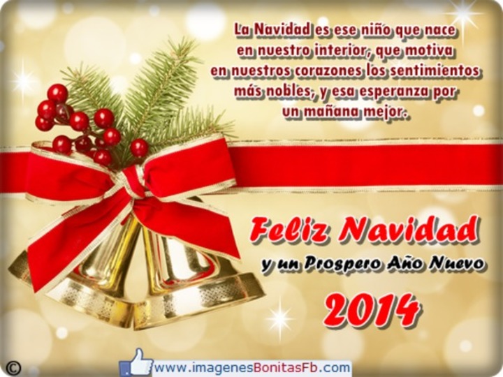 Frases Bonitas De Navidad