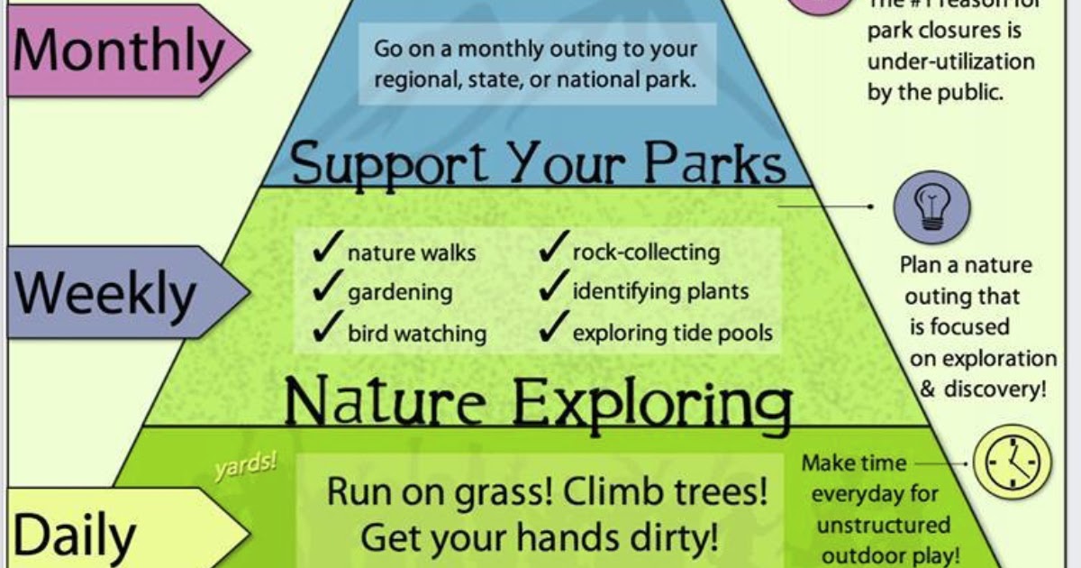 MaineNatureDiary Nature Connection Pyramid