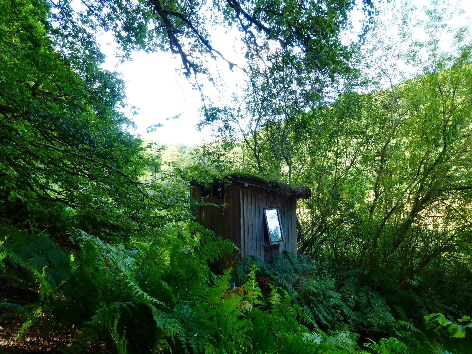 Willow compost toilet