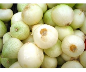 Alimentos beneficiosos para la infeccion de orina