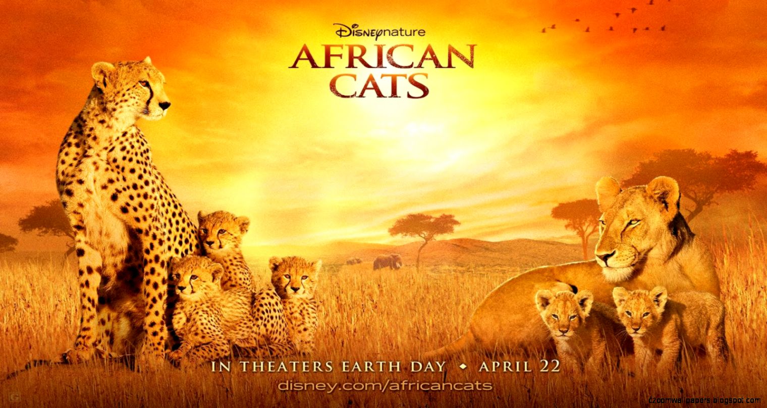 African Cats 2011 Wallpapers