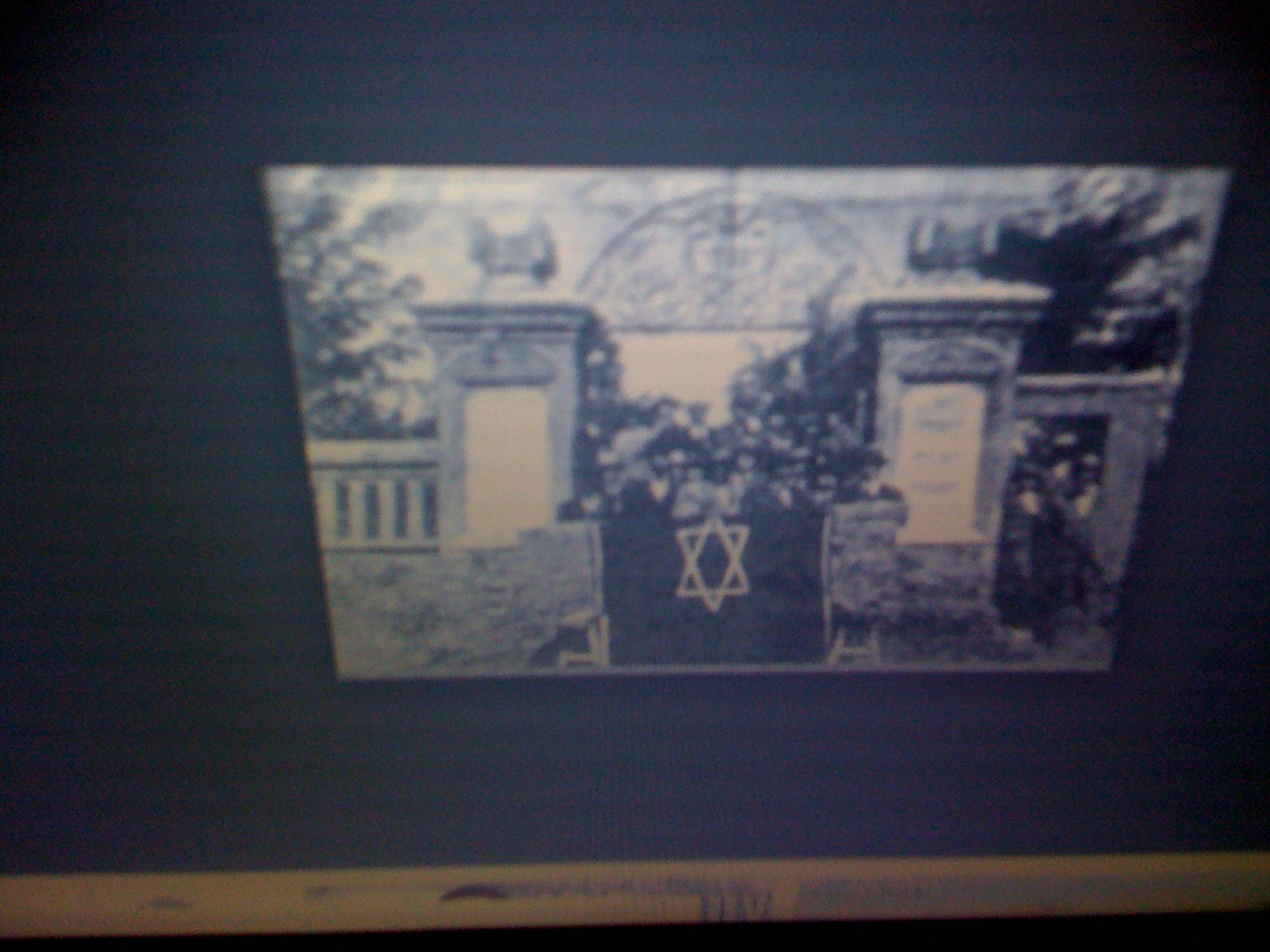 THE BLACK SOCIAL HISTORY BLACK SOCIAL HISTORY AFRICAN AMERICAN