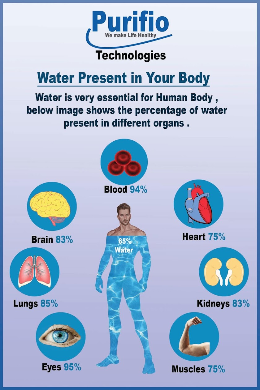 Purifio Alkaline Water Ionizer