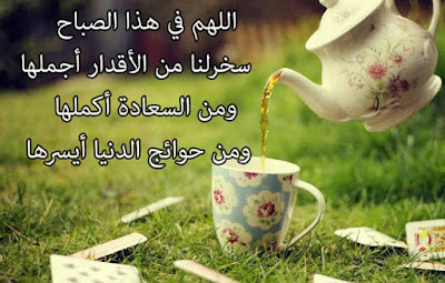 %25D8%25B1%25D9%2585%25D8%25B2%25D9%258A%25D8%25A7%25D8%25AA%2B%25D8%25B9%25D9%2586%2B%25D8%25A7%25D9%2584%25D8%25AD%25D9%258A%25D8%25A7%25D9%2587%2B%25D8%25AC%25D9%2585%25D9%258A%25D9%2584%25D8%25A9%2B%2B%25D9%2585%25D8%25AF%25D9%2588%25D9%2586%25D8%25A9%2B%25D8%25A3%25D8%25B3%25D8%25AF%2Bblog%2Blion%2B%252823%2529