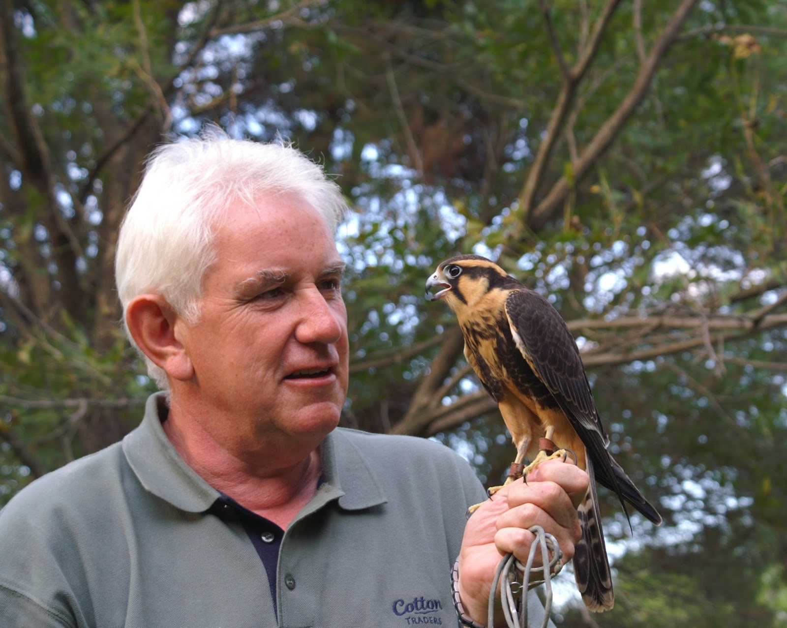 Diário de estudos de Falcoaria Entrevista com Bob Dalton