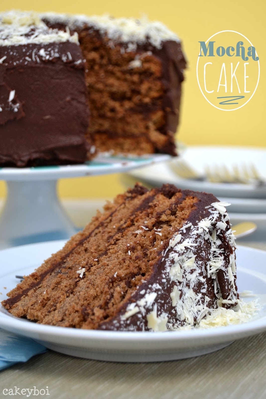 Cakeyboi Mocha Cake (or java infused cake with fudgylush choccy frosting)