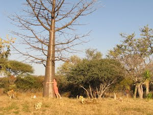 Jong Kremetart in winterkaalte op Tsumeb se gholfbaan