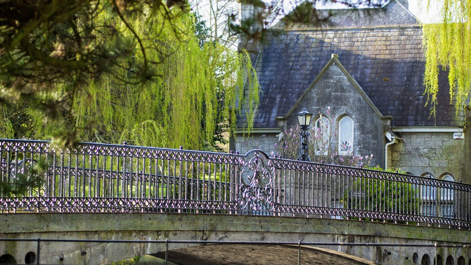 The Best Pictures of Cork City That Will Make You Want to See Ireland