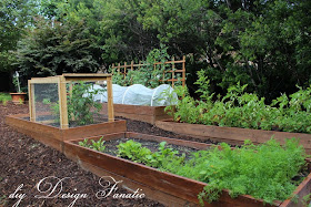 raised beds, raised beds on a slope, vegetable garden, building project, diyDesignFanatic.com