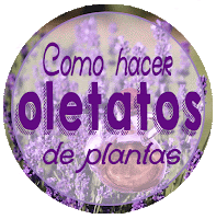 http://www.conejoblanco.es/2016/08/elaboracion-de-oleatos-o-maceracion-de_12.html