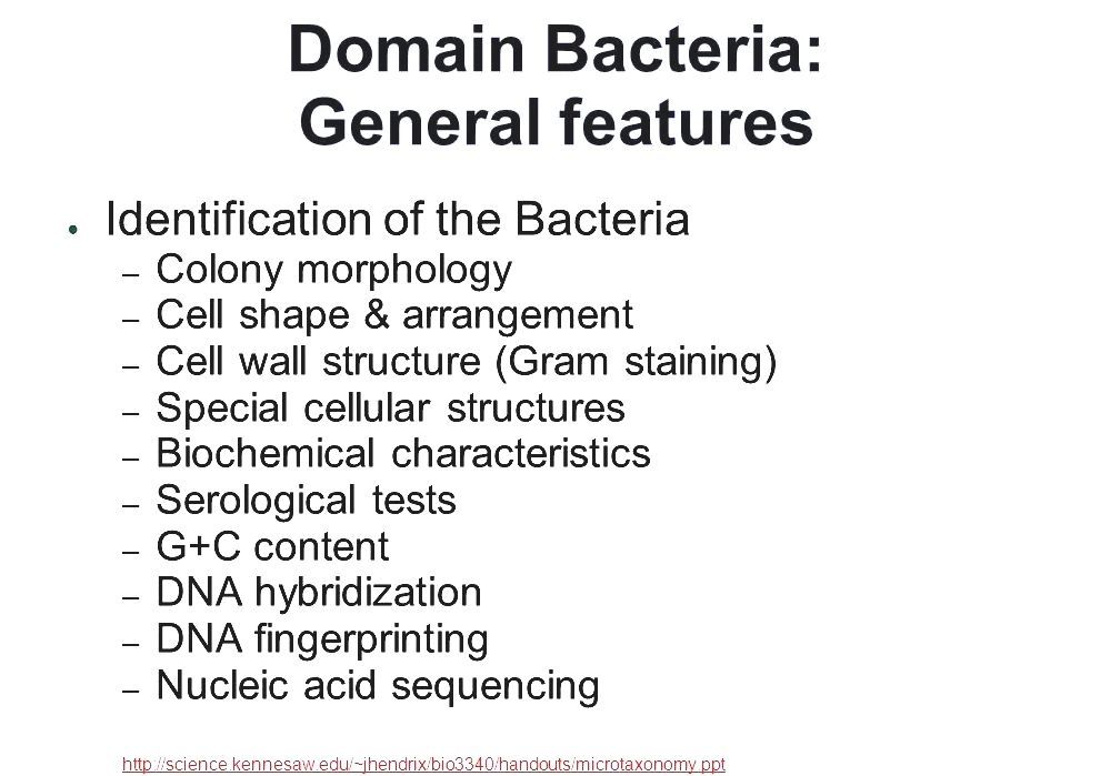 Bacteria Domain Bacteria Characteristics