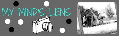 My Mind's Lens