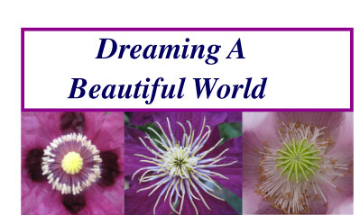 Dreaming A Beautiful World