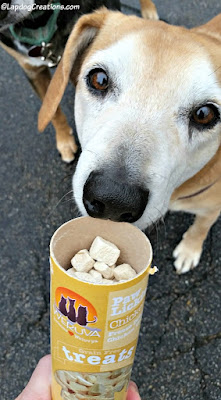 senior hound rescue dog with big eyes weruva dog treats