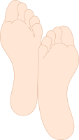 Sole (telapak) Sole (telapak)