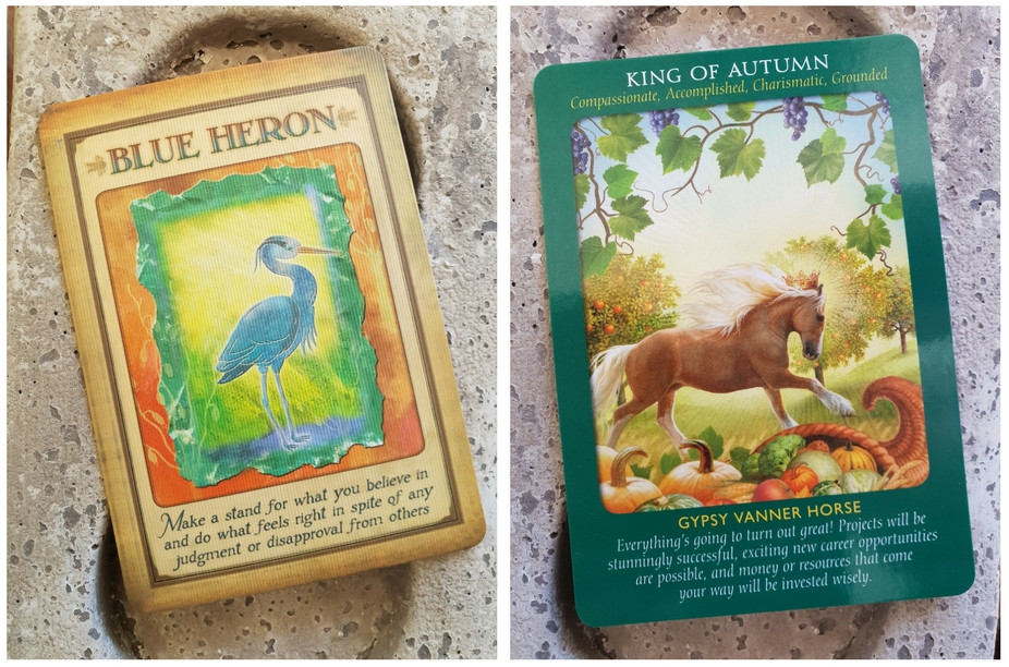 Mystified & Muddled Ask The Tarot Cards!