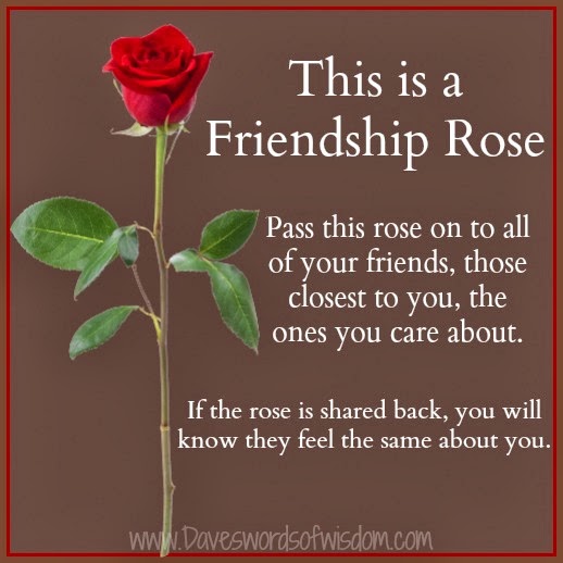A Friendship Rose