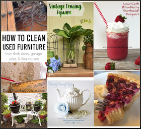 19 Best Rare Exclusive Plants Images Unique Plants Different