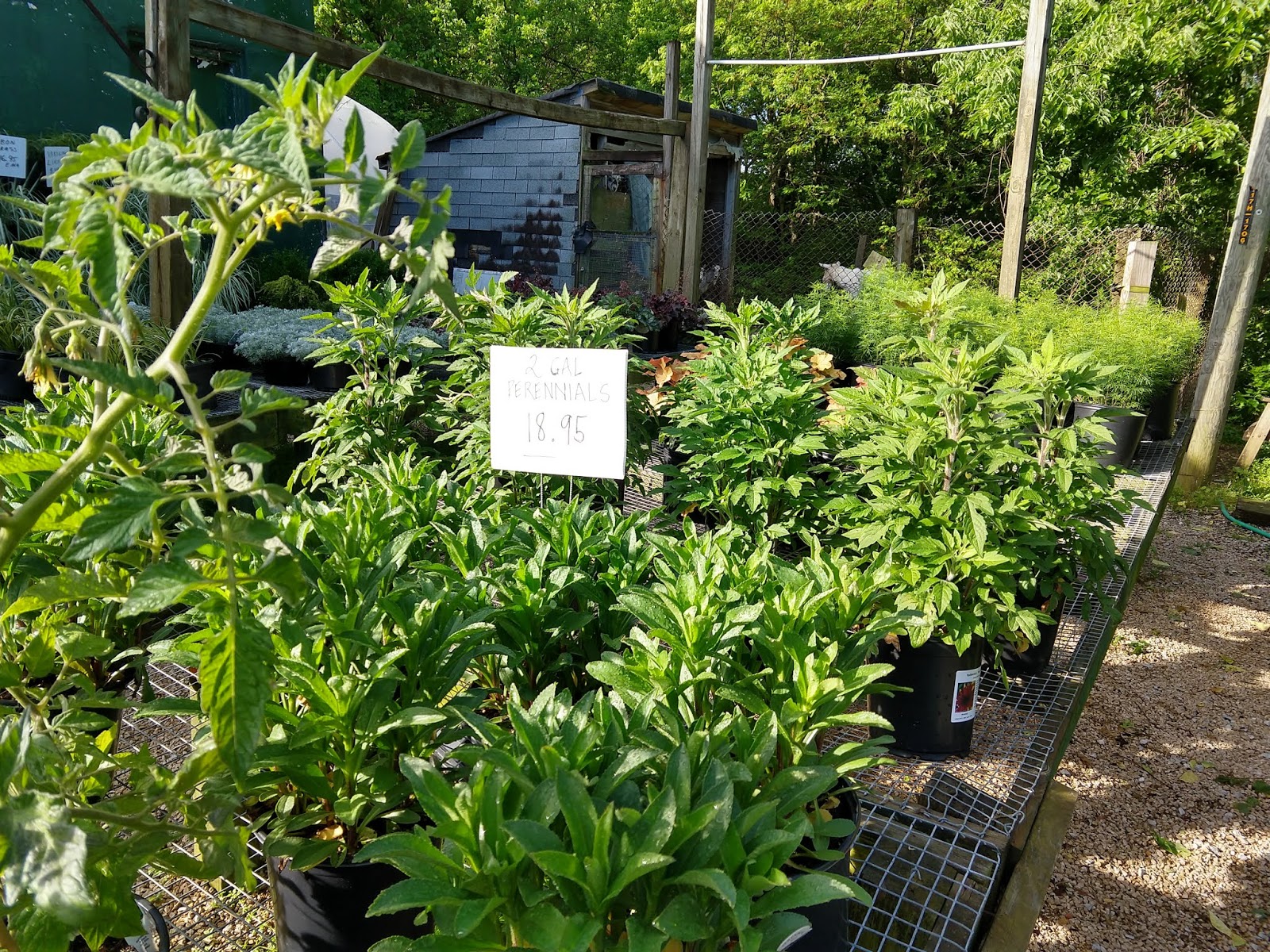 Peters Nursery & Garden Center