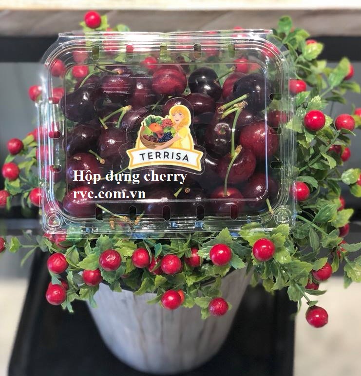 Hop nhua jadebox dung cherry