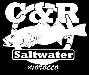 Logo Rockfishing Morocco