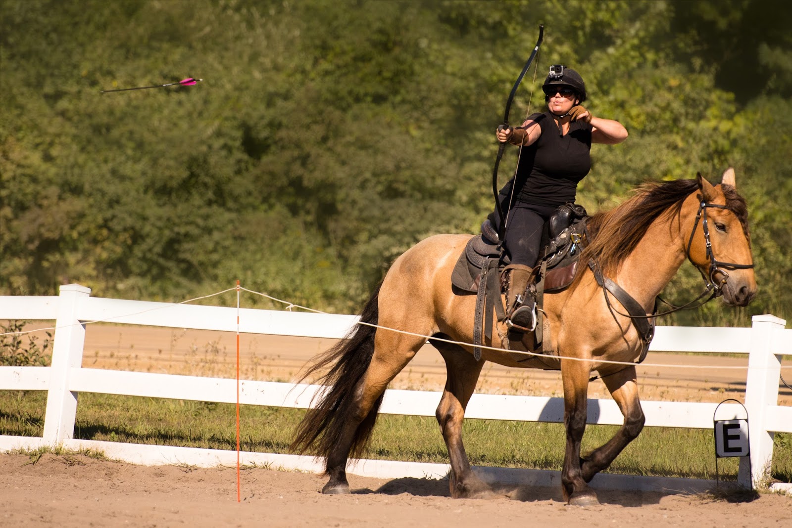 MMA: 2017 Clinics - Spring, Summer & Fall