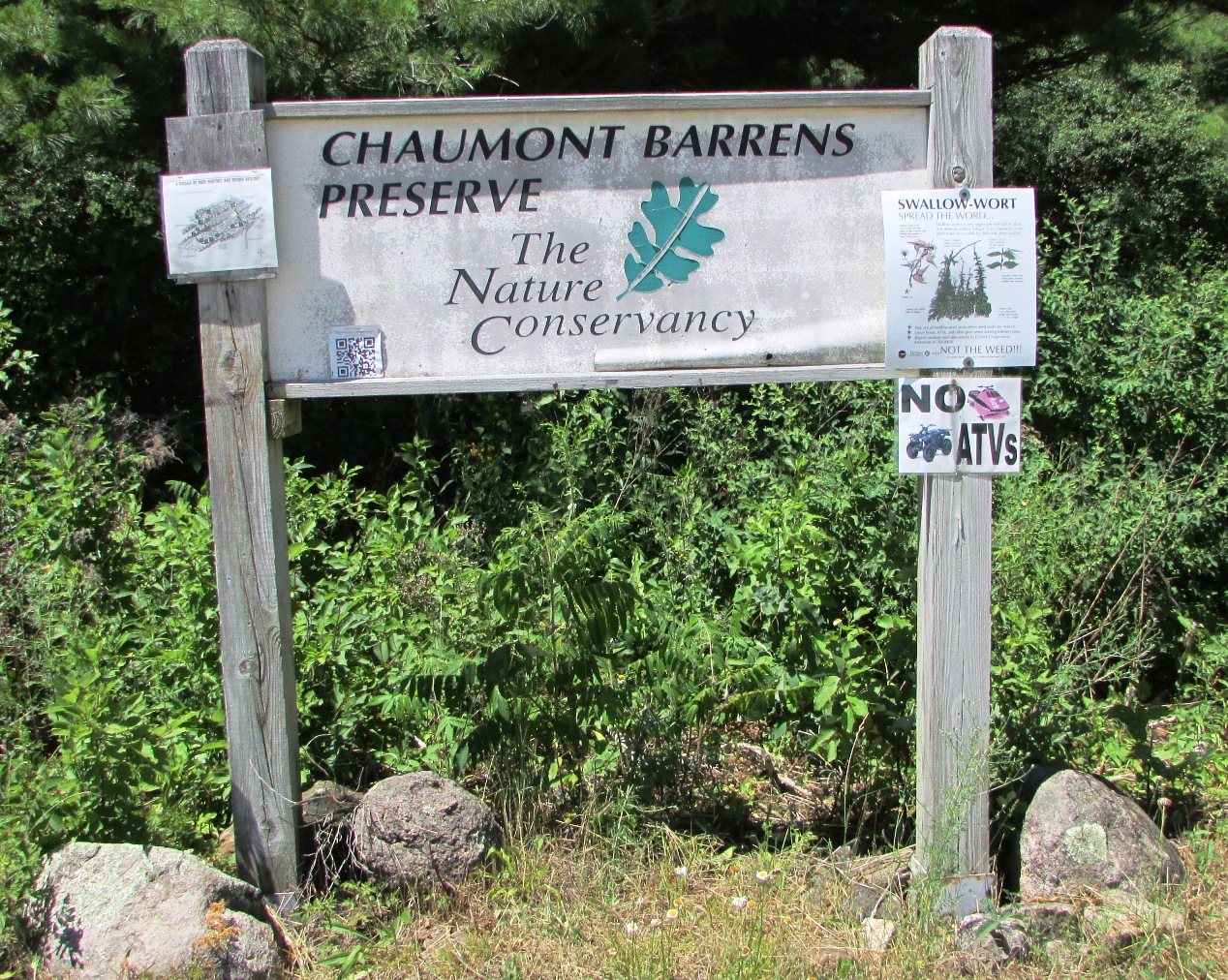 Singer Castle Blog & More Hiking Chaumont Barrens Preserve