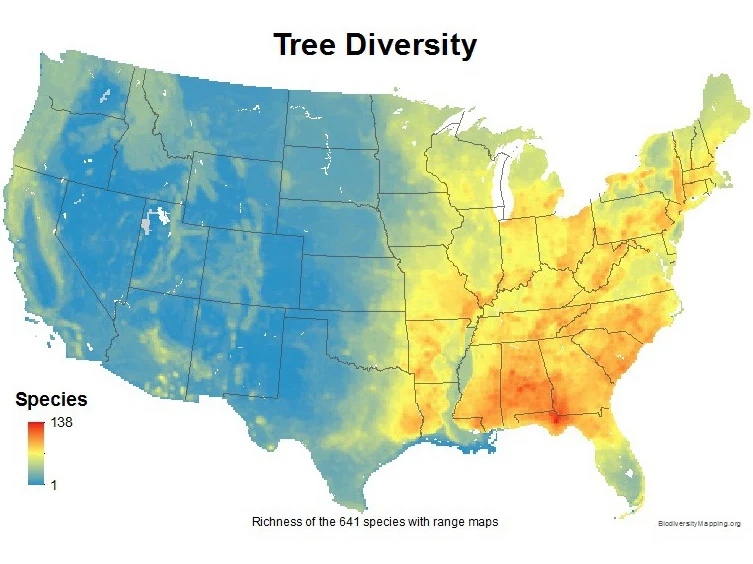 Tree diversity